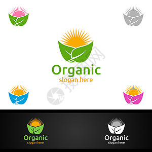 草药 生态 健康 瑜伽 食品或农场概念的天然和有机Logo设计模板化妆品标志插图叶子芳香花园生物学食物植物生活图片