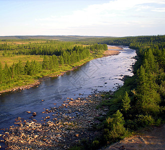 在俄罗斯北部的泰加河里 泰加河在山地上的性质游客部分野生动物森林纯净水针叶林旅游松树全景自然景观图片