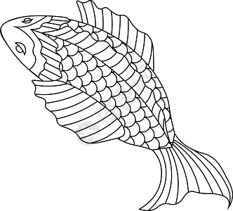 浅形风格鱼的线条草图图片