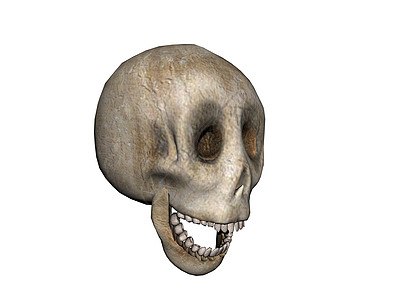 头骨和下巴骷髅下颚颧骨眼窝牙齿棕色背景图片