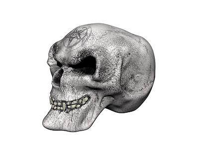 头骨有下巴的老骨头牙齿眼窝棕色下颚颧骨骷髅背景图片