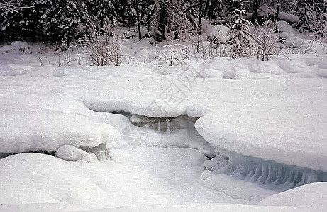 河上的冰雪 在水库的泉水中融雪溪流季节地平线裂缝天空森林海岸环境漂流反射图片