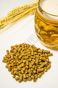 装有啤酒杯的Hops球饮料啤酒植物酒花液体药品金子气泡玻璃香料图片