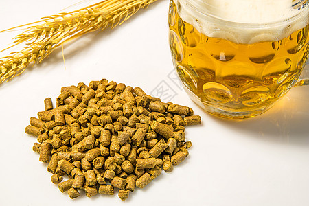 装有啤酒杯的Hops球啤酒厂液体啤酒酒花饮料药品金子气泡香料玻璃图片