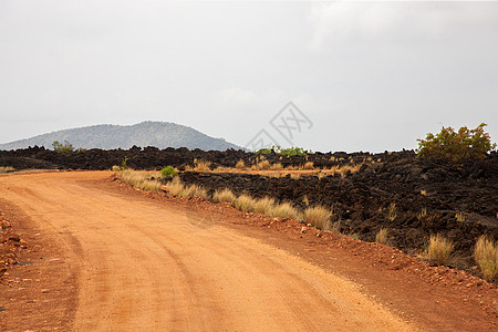 肯尼亚大草原的红路图片