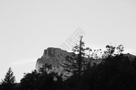 山顶和树木的神秘景象 黑白照片 有选择的焦点天气松树农村季节高山天空旅行石头薄雾背光图片