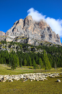 美丽的夏日风景 美妙的阿尔卑斯山和高山 多洛米特 意大利 欧洲全景墙纸旅行旅游蓝色晴天岩石地标远足村庄图片