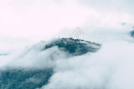 山峰和云环境白色绿色薄雾顶峰风景旅行季节山脉图片