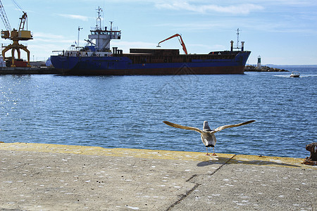 在码头卸货的商船商业物流血管货物货轮运输蓝色船运港口贸易图片