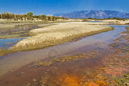 尼泊尔Bardia皇家国家公园Babai River生态旅游野生动物环境多样性避难所绿色栖息地生境生物学生态图片