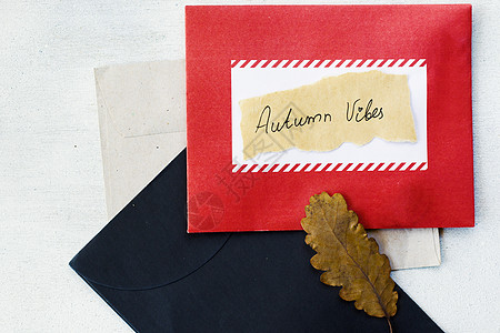 信封和秋天干枯的植物和鲜花 纸上的记忆文字问候语笔记红色卡片送货邮政黑色地址刻字邮寄图片