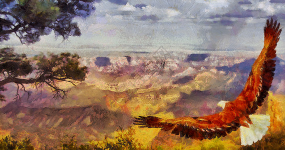 鹰飞过大峡谷图片