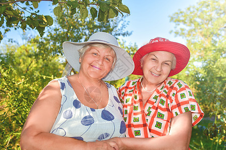 在花园散步 两个戴着帽子的退休女性 最好的朋友在花园里快乐地走来走去闲暇晴天享受生态环境老年农业讨论团队低角度图片