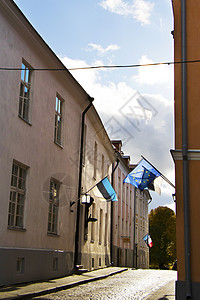 旧城镇塔林的建筑和建筑外观 欧洲工会旗 (单位 Tallinn)图片