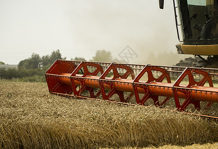 将收割小麦的采摘机与空气中的灰草结合起来 重农用机械 包括肥料和水分 土壤等 d 农业面粉粮食工作食物场景地球生长金子拖拉机生产图片