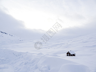 雪覆盖的孤家寡屋小屋 白色冬季风景 挪威旅行冻结场景峡湾建筑季节孤独海岸山峰环境图片
