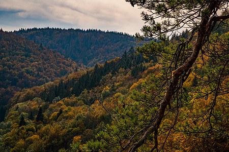 在伯伦修道院附近美丽的多瑙河谷的 美妙秋天远足自然公园场地风景植物群环境草地农村森林茅屋叶子图片
