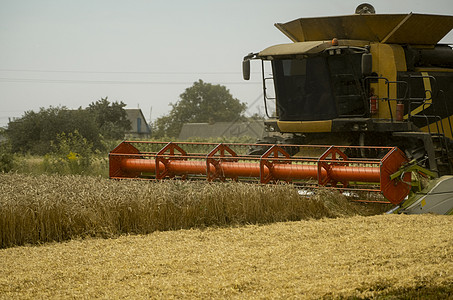 将收割小麦的采摘机与空气中的灰草结合起来 重农用机械 包括肥料和水分 土壤等 d 农业收割机机器国家收成拖拉机耳朵草地工作稻草种图片