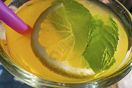 杯中冷柠檬 加柠檬片和薄荷叶热带矿物食物玻璃饮料桌子叶子薄荷液体果汁图片
