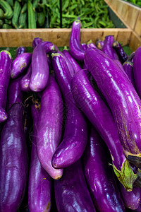 杂货店蔬菜区 一箱茄子 一箱茄子花园农民收成植物食物营养热带团体农场紫色图片
