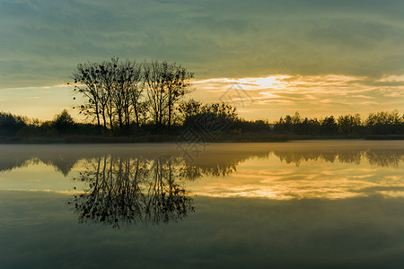 沉雾湖中夜云和树木的反射图片