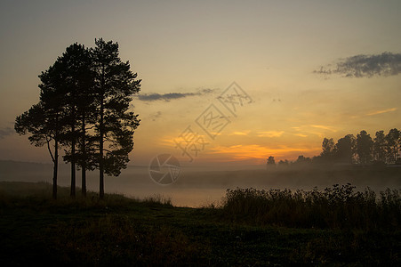 池塘海岸的黎明 池塘上的太阳照亮了早晨支撑场景反射薄雾天空森林金子地平线旅行风景图片