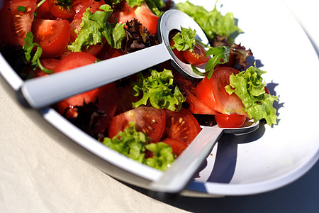 静生摄影饮食白色沙拉美食盘子午餐叶子绿色红色食物图片