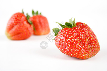 草莓甜点宏观叶子工作室饮食种子水果食物团体植物图片