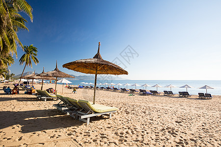 芽庄天堂湾越南Nha Trang主要海滩太阳椅子棕榈旅游沿海天空热带旅行晴天假期背景