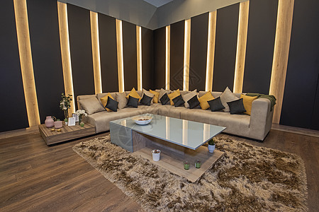 豪华公寓客厅室内设计设计小地毯椅子住宅装饰扶手玻璃地面沙发展示厅长椅图片
