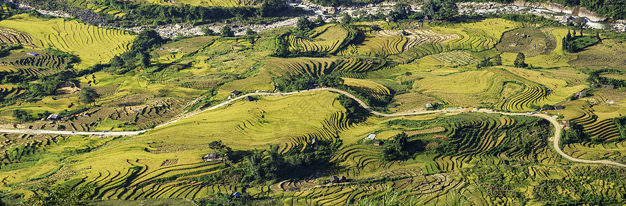 矢量山越南Yty Sapa Laocai等地的田稻田准备收割土地建筑学环境日落绿色农民收成植物旅行种植园背景