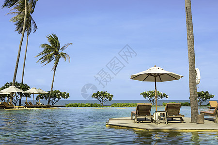 完美的海滩游泳池 热带度假胜地放松棕榈奢华海洋日光别墅天空蓝色酒吧旅行椰子图片