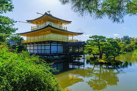 金殿 京都金洞旅行亭子公园建筑历史性建筑学旅游反射纪念碑寺庙图片