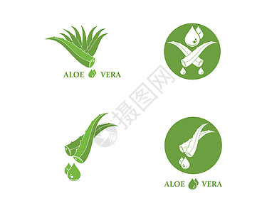 芦荟标志图标矢量插图设计植物学药品医疗植物草本肉质凝胶叶子草本植物绿色图片