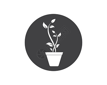 植物标志图标矢量说明设计树苗园艺土壤环境植物学生长植物群农业插图叶子图片