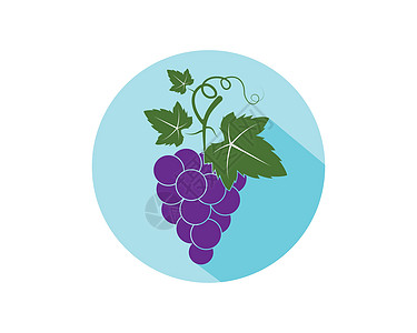 带有叶子图标矢量图案的葡萄果实酒厂标签植物葡萄园浆果食物紫色水果插图酒吧图片