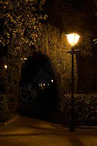 罗马夜间公园 配有喷泉和灯柱幸福生活地标踪迹绿地叶子孤独场景戒指小路图片