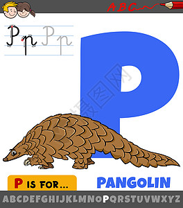 带有穿山甲动物特征的字母表中的字母 P图片