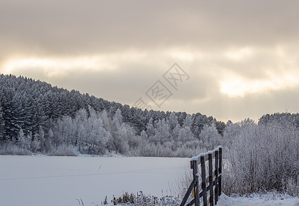 森林附近的冰冻湖附近森林的木林入口处小路场地风景荒野生态天气下雪季节天空戏剧性图片