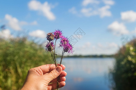 在湖底和蓝天空 手握着紫色的野花图片