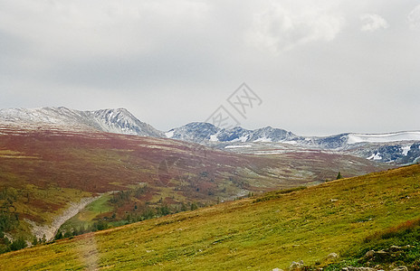 Altai风景山和云 自然阿尔泰高度山峰旅游高地农业顶峰森林树木峡谷地形图片