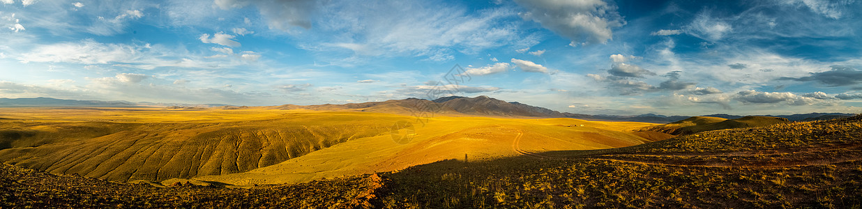 秋天的山峰和阿尔泰山丘 全景照片森林爬坡山脉假期树木旅行旅游农村地形季节图片