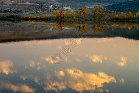 在阿尔泰山脉的山湖中 湖面的水面上 湖水面旅游高山针叶树潮人远足树木气氛岩石松树针叶图片