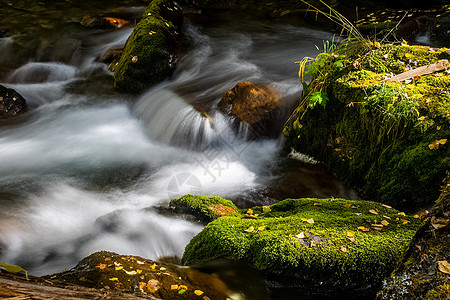 山区河流流过岩石 河流是阿尔泰河 大自然是阿尔泰冒险旅行娱乐公园壁纸山沟山脉溪流急流流动图片
