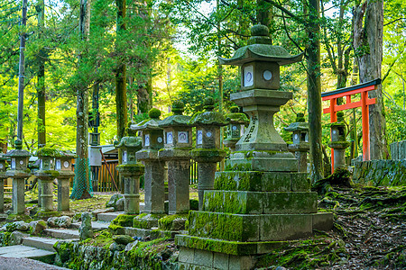 奈拉的朝中泰沙神社日光灯遗产宗教旅游佛教徒寺庙大社苔藓旅行建筑学精神图片