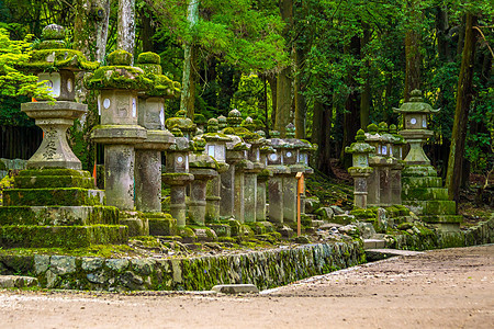 奈拉的朝中泰沙神社日光灯神道宗教寺庙花园精神大社佛教徒建筑学建筑旅游图片