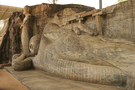 斯里兰卡古老的废墟 佛像向后仰立宗教建筑学历史遗产寺庙旅行增值税佛教徒冥想雕塑图片