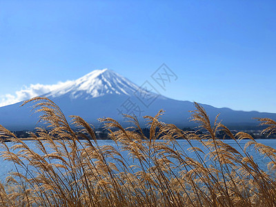 日本富士山和川口子湖的美丽景色游艇旅游农村世界遗产顶峰假期海洋蓝色天气场景图片