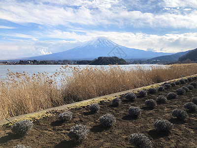 日本富士山和川口子湖的美丽景色海洋天气游艇旅行蓝色场景海岸假期天空农村图片