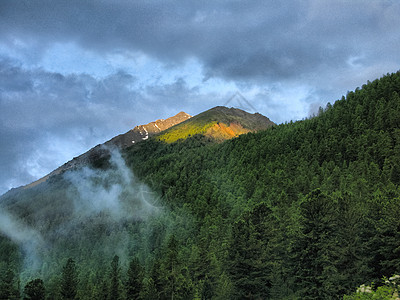 山区地貌 森林和阿尔泰的蓄水层青菜山峰海岸荒野湖区场景国家水库旅游公园图片